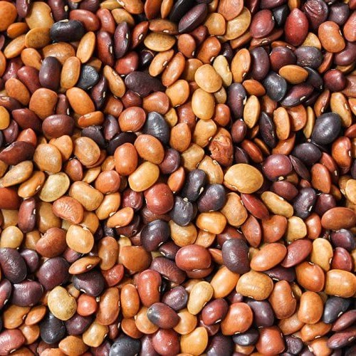 Pulses